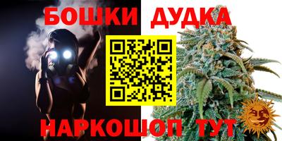 apvp Сланцы