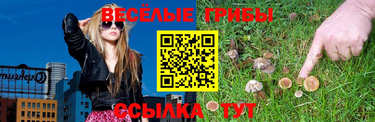 Псилоцибиновые грибы ЛСД Бирск